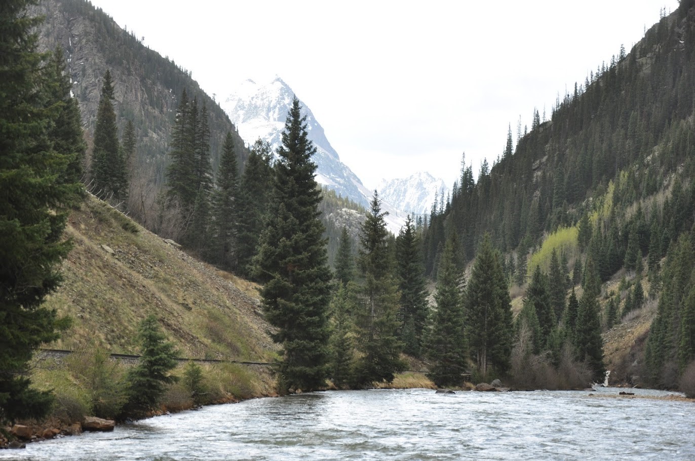 A view downstream of the Upper Animas form Silverton CO