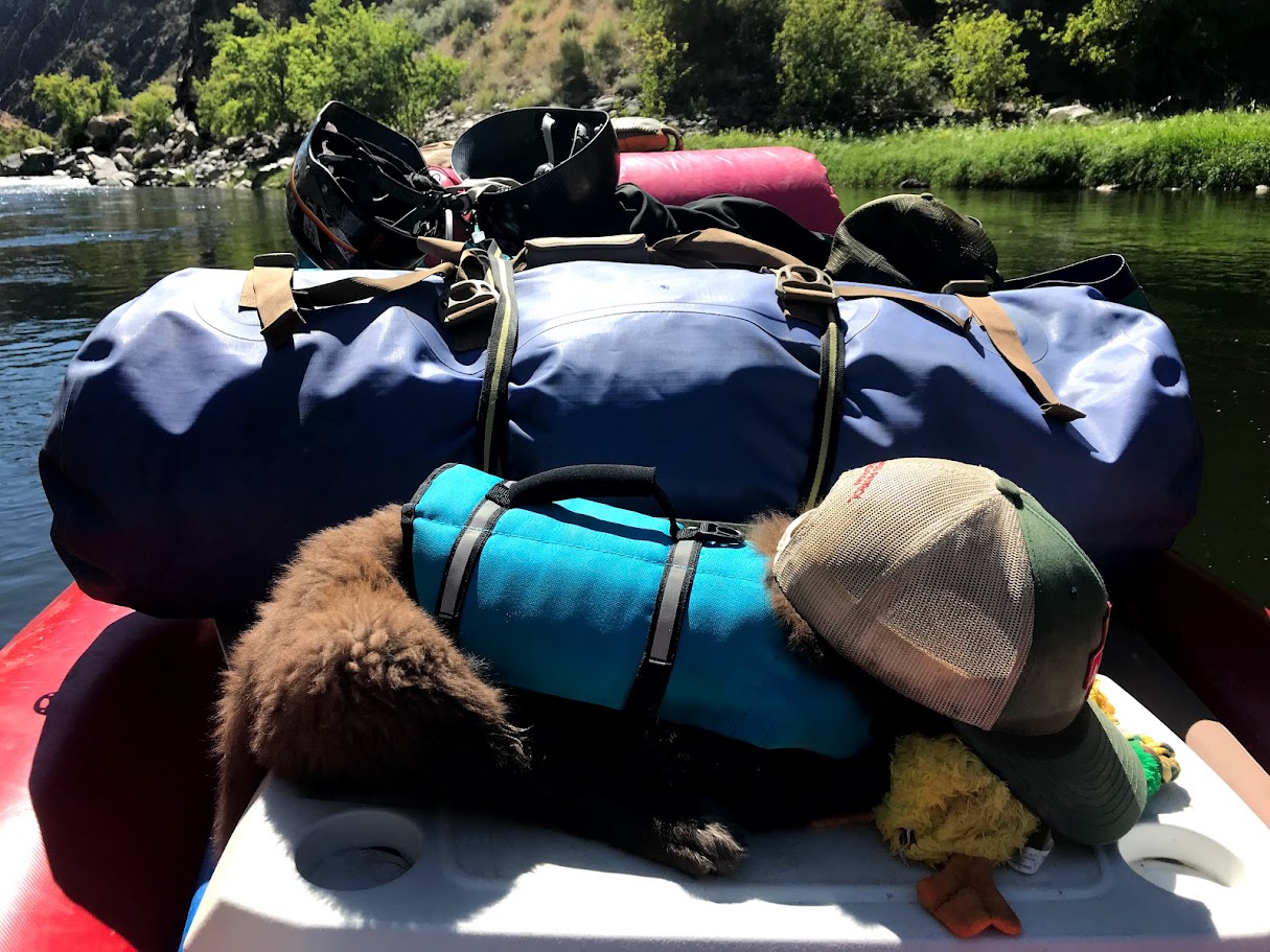 A picture of pancho as puppy sleeping on the raft with a hat on