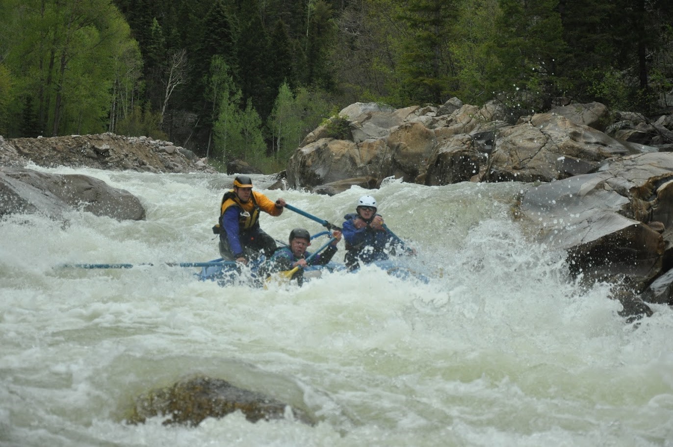 Jesse rowing in No Name Rapid