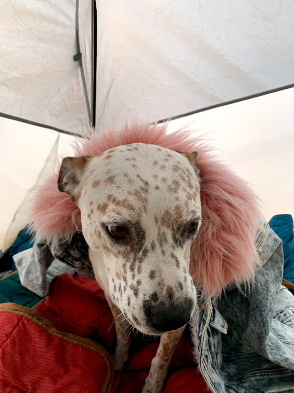 A picture of Jax in a high collar jacket